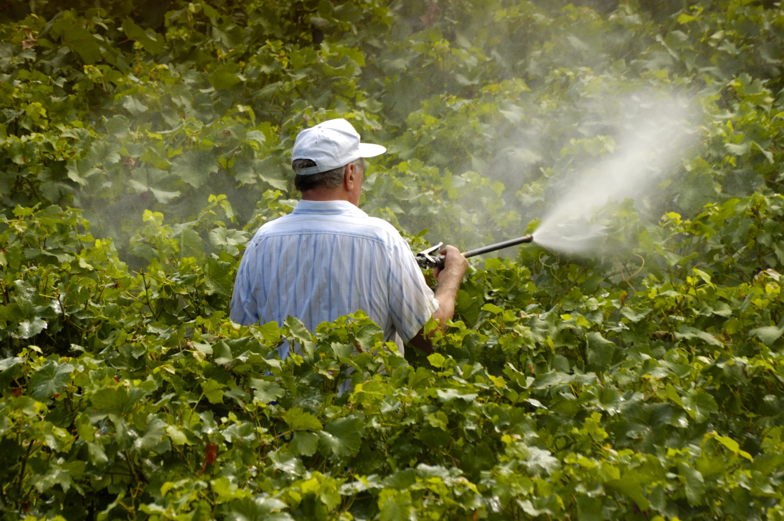 The Roundup row: is the world's most popular weedkiller carcinogenic?, Herbicides